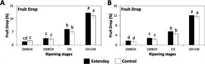 Reflective groundcovers promote anthocyanin content and advance fruit maturity of ‘Evercrisp’ apples grown in the Mid-Atlantic US